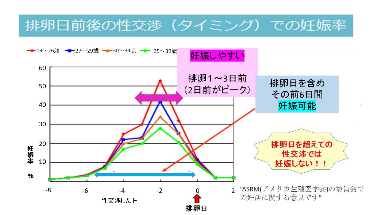 妊娠確率 安全日