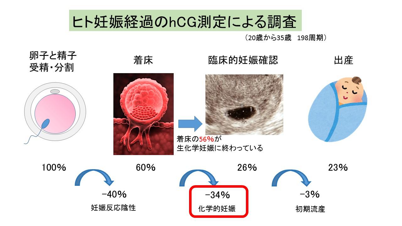 1.27　峰 最新版 妊娠や流産について知っておきたい知識.jpg