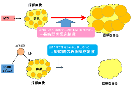 OHSS予防イメージ