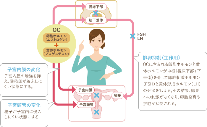 不正出血 プラノバール